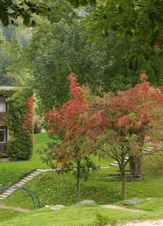 Waldblick Appartement Ober-Hambach Extérieur photo