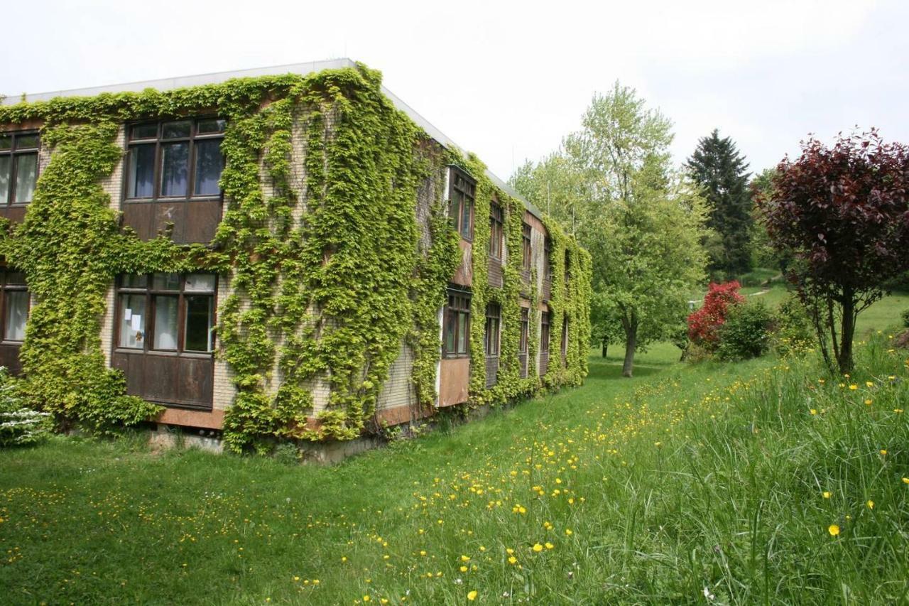 Waldblick Appartement Ober-Hambach Extérieur photo